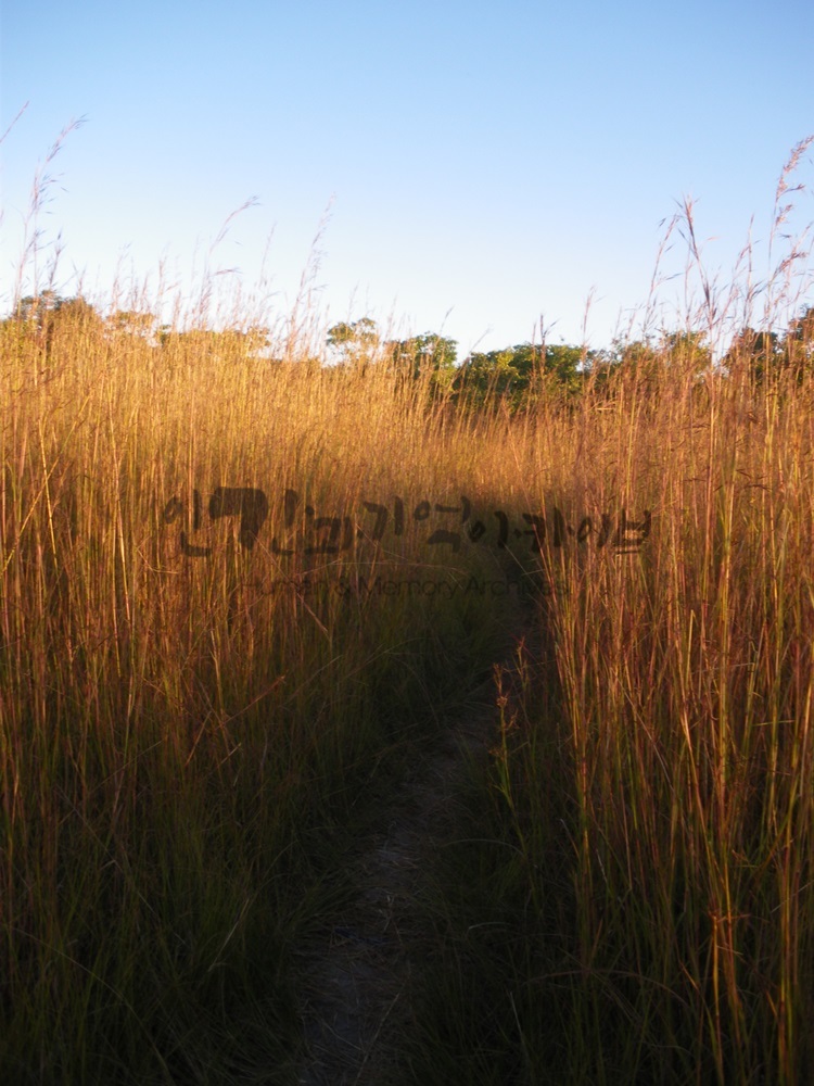 c20160727JMR226.JPG