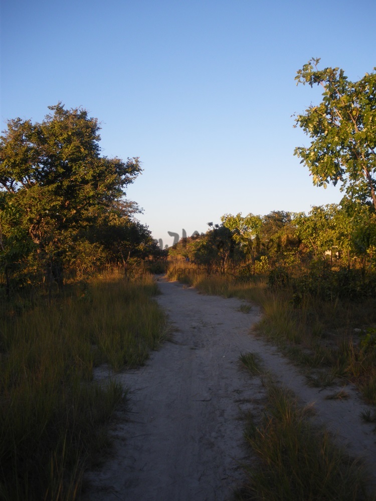 c20160727JMR232.JPG