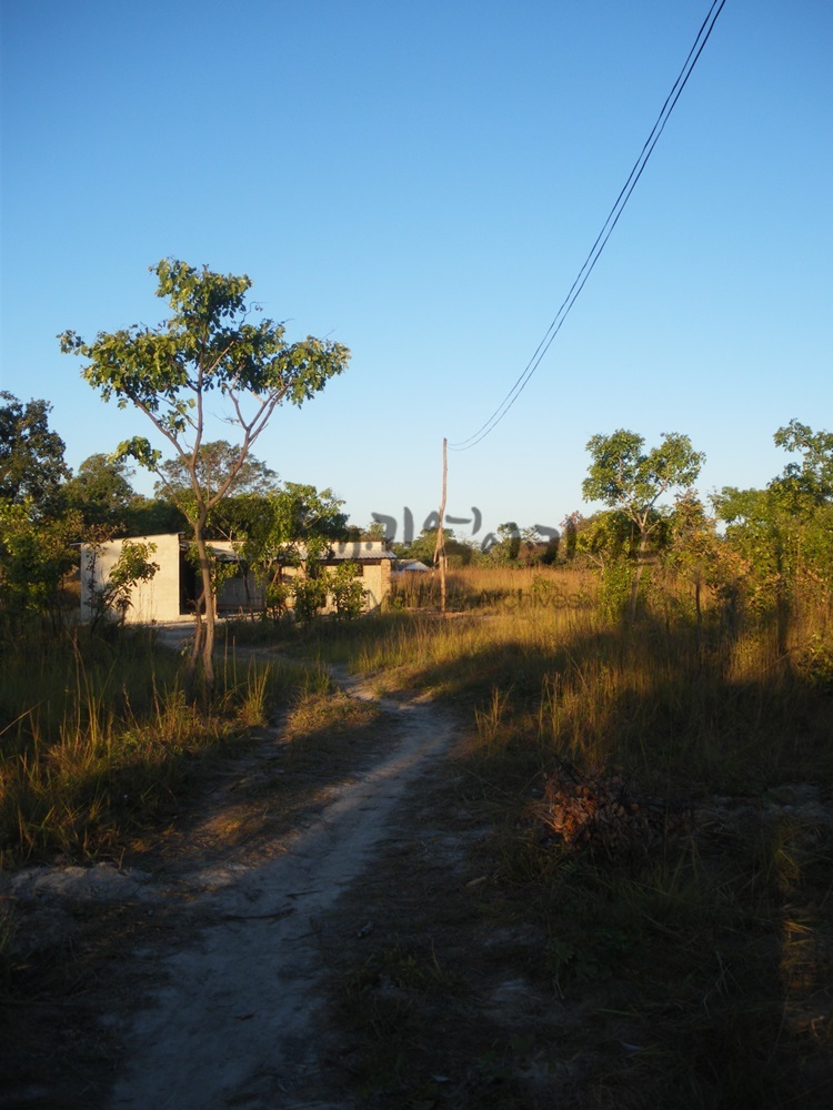 c20160727JMR230.JPG