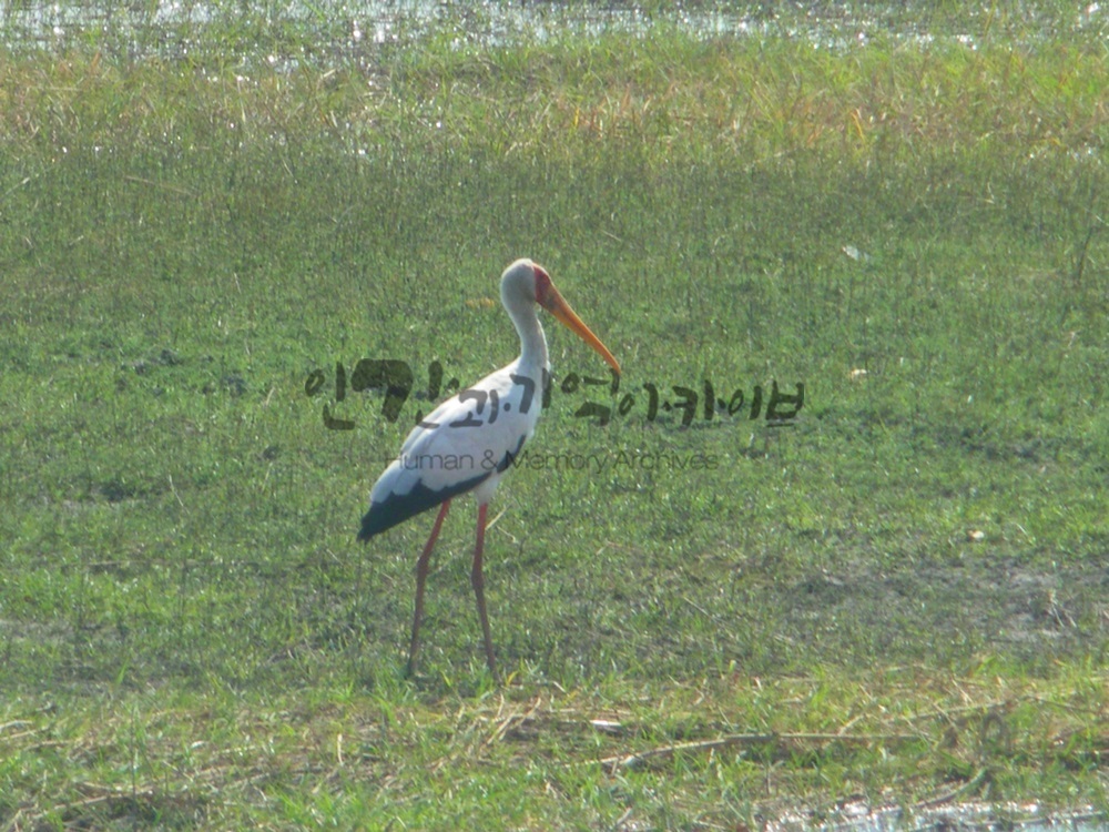 c20160801JMR774.JPG