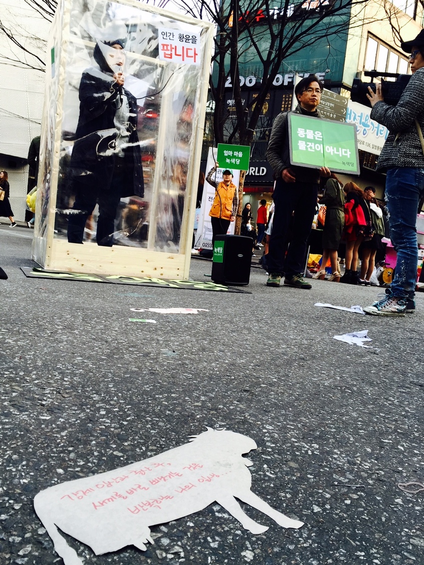 160320_정당연설회(홍대걷고싶은거리)_송혜성(03).jpeg 160320_정당연설회(홍대걷고싶은거리)_송혜성(03).jpeg