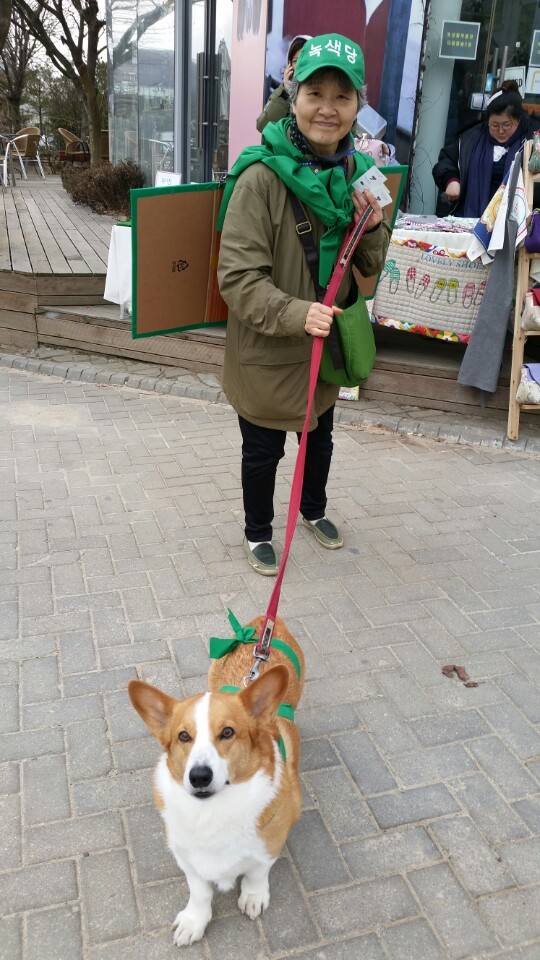160312_정당연설회(헤이리)_조선(02).jpeg