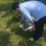 할머니 산소