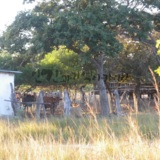 c20160727JMR193.JPG