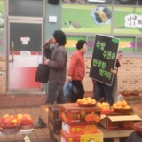 보성 정당연설회