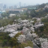 남산 케이블카