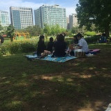 호수공원 피크닉