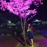 벚꽃