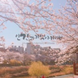 벚꽃엔딩