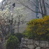 우리동네 