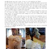 카페베네 뉴욕치즈케익빙수