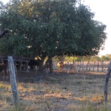 c20160727JMR199.JPG