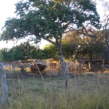 c20160727JMR194.JPG