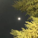 KakaoTalk_20161130_152352822.jpg