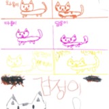 고양이 색깔의 종류