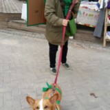파주 정당연설회