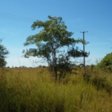 c20160727JMR223.JPG