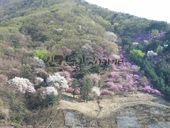 20160405_평낼동_아파트 베란다풍경.jpg