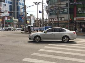 지역구 사진6